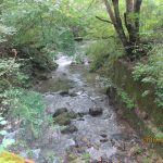 image10